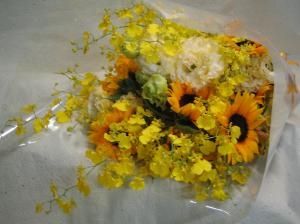 img_1305