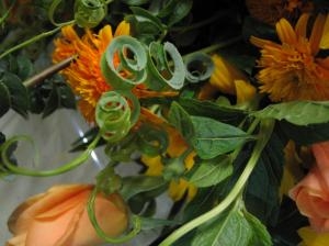 img_1553