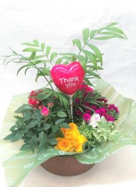 寄せかごのご注文をありがとうございます｜「花鶴」　（愛知県刈谷市の花キューピット加盟店 花屋）のブログ