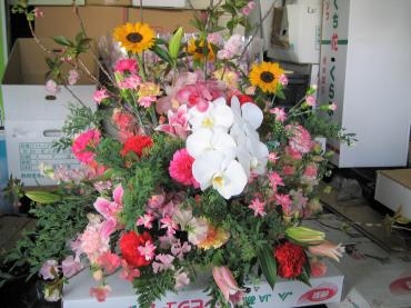 卒園・卒業のお花　ご予約承ります｜「花鶴」　（愛知県刈谷市の花キューピット加盟店 花屋）のブログ