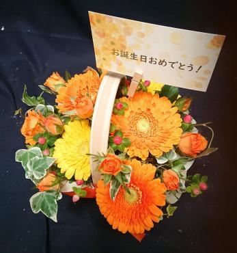 ガーベラのアレンジメント｜「花鶴」　（愛知県刈谷市の花キューピット加盟店 花屋）のブログ