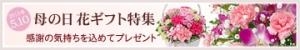 母の日　ご予約　承り中｜「花鶴」　（愛知県刈谷市の花キューピット加盟店 花屋）のブログ